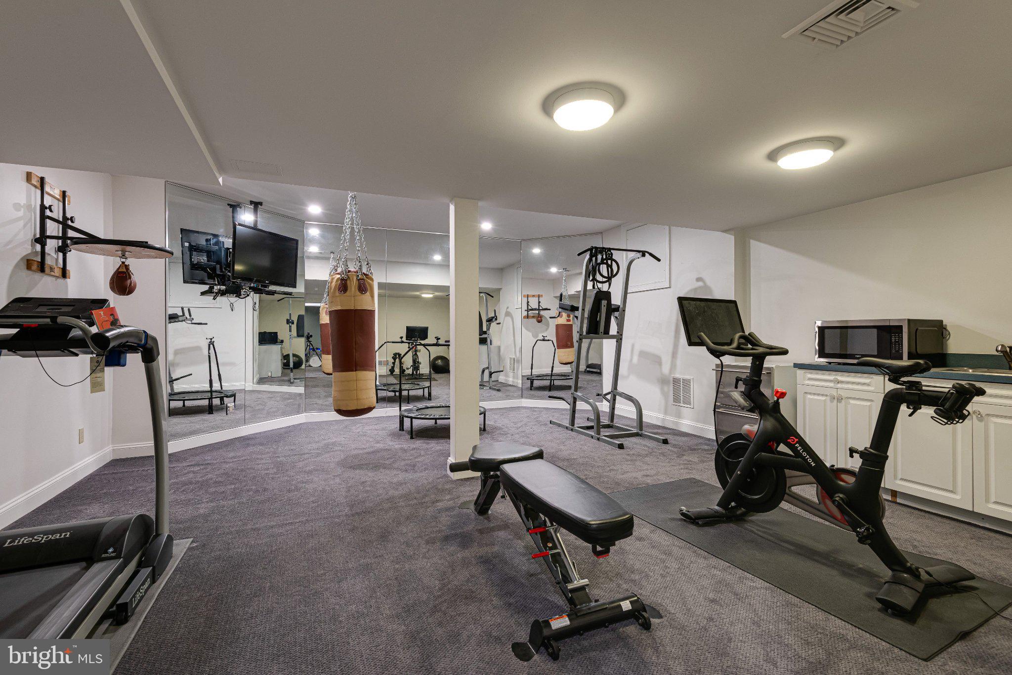 952 Lafayette Road Bryn Mawr, PA 19010 - Photo 73 of 87 Home gym with diverse workout equipment.