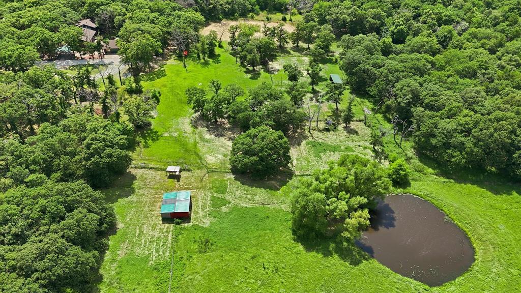 237 Brenda Lane Gainesville, TX 76240 - Photo 37 of 40 Expansive green landscape featuring mature trees and a natural pond