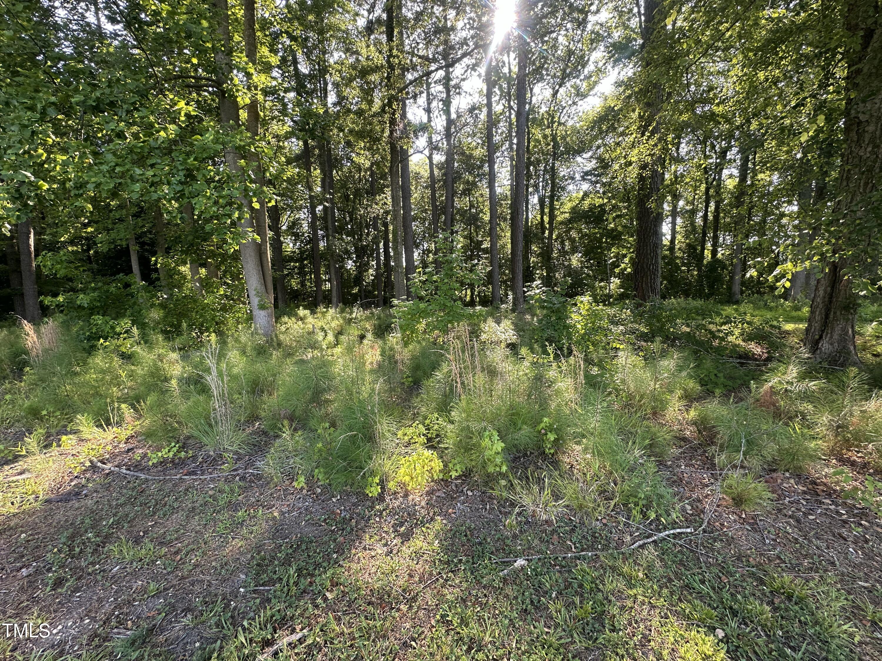 26 Phillips Road Selma, NC 27576 - Photo 3 of 6 a view of a yard