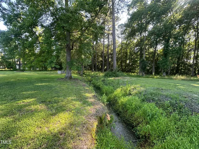 a view of a grassy field with trees
