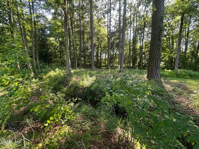 a view of outdoor space and trees all around
