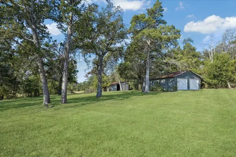 a view of a trees in a yard with a house