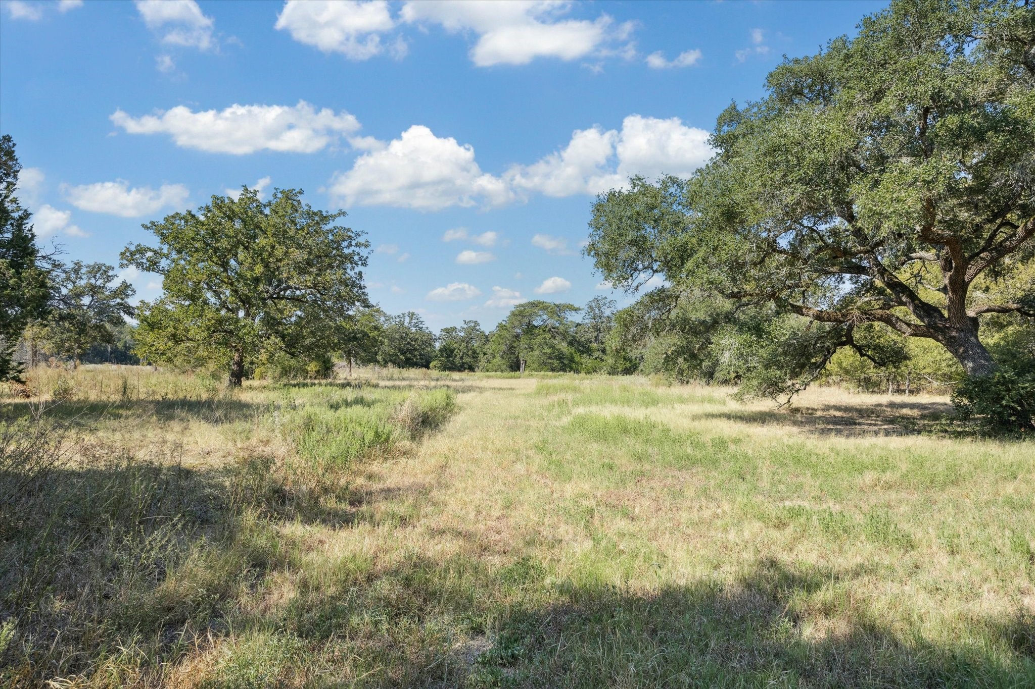 3455 Farm To Market 1948 Burton, TX 77835 - Photo 28 of 29 a view of yard with green space