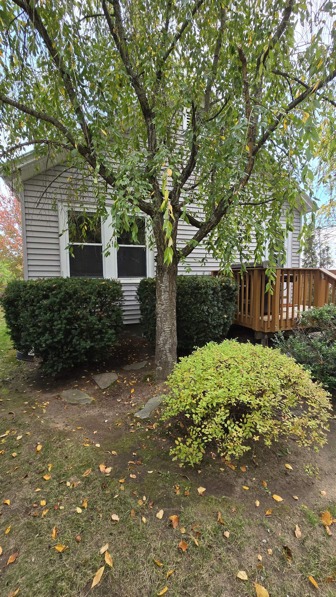 376 South Main Street Concord, NH 03301 - Photo 3 of 31