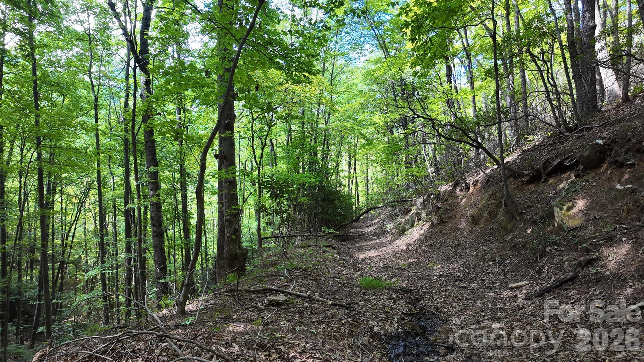 99999 Saw Branch Road Candler, NC 28715 - Photo 13 of 37 Gallery Image 13