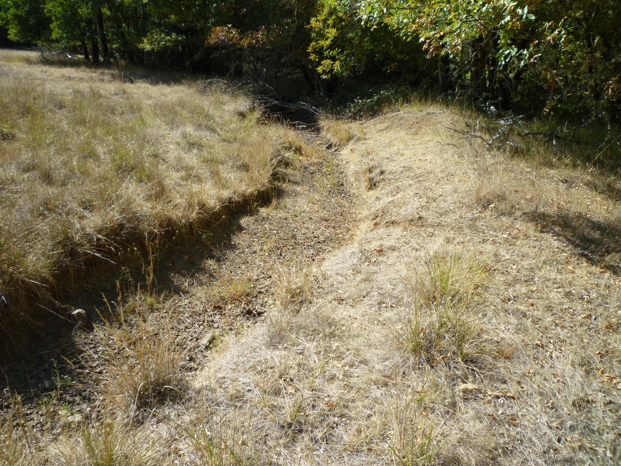 4125 Dick George Road Cave Junction, OR 97523 - Photo 43 of 50 P1160077