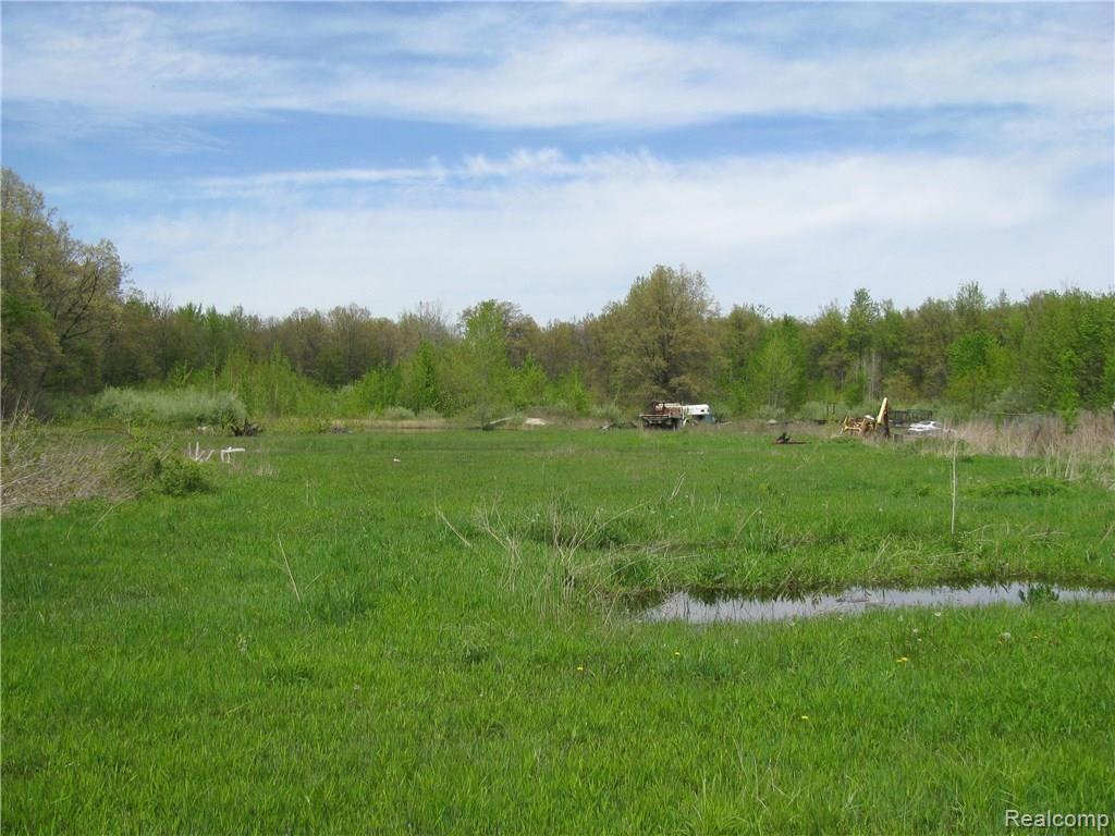 12270 Ostrander Road Maybee, MI 48159 - Photo 33 of 49 IMG_5798.JPG