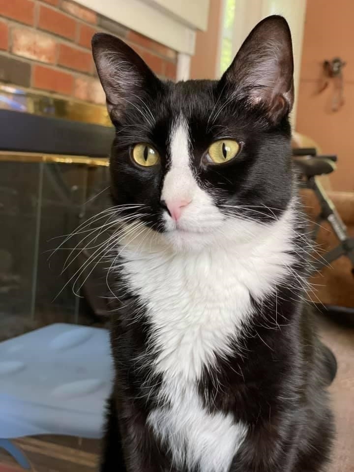 83 Hanover Street, Unit 408 Manchester, NH 03101 - Photo 56 of 56