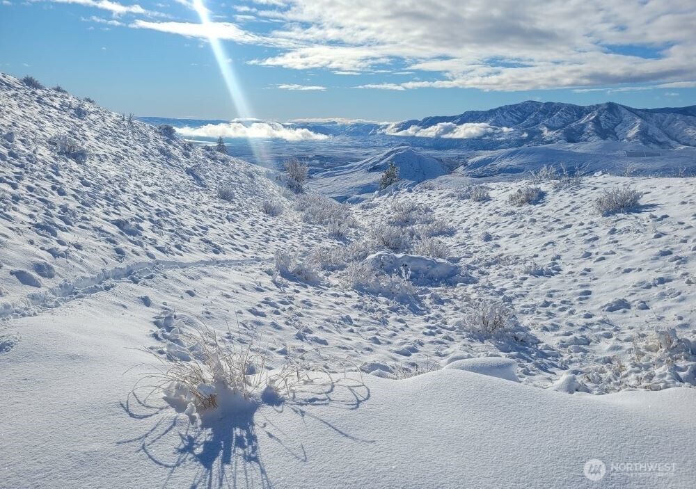 180 Harmony Heights Road Brewster, WA 98812 - Photo 9 of 13 a view of a backyard of a house