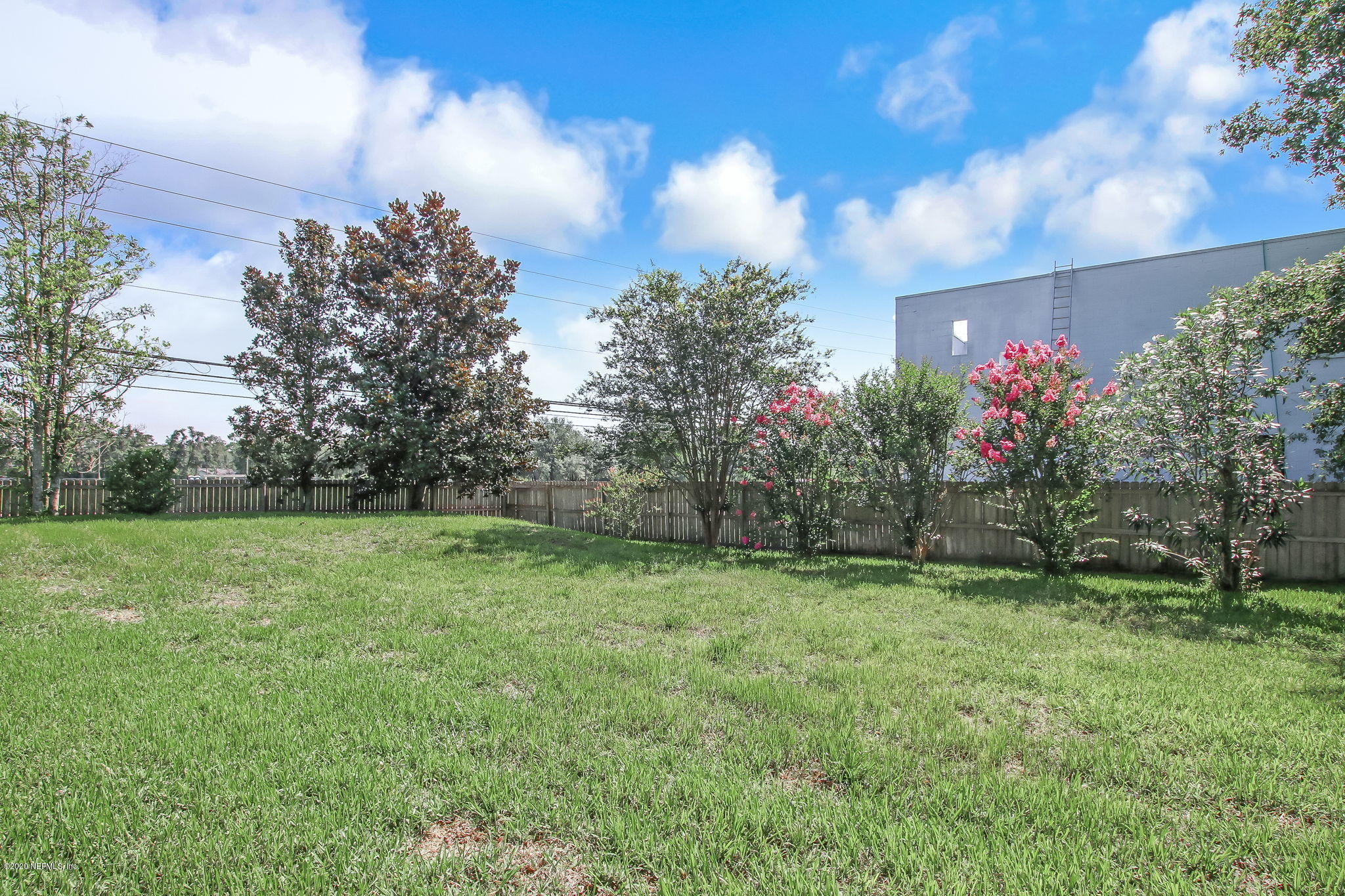 12421 Attrill Road Jacksonville, FL 32258 - Photo 37 of 46 Beautiful Crape Myrtles