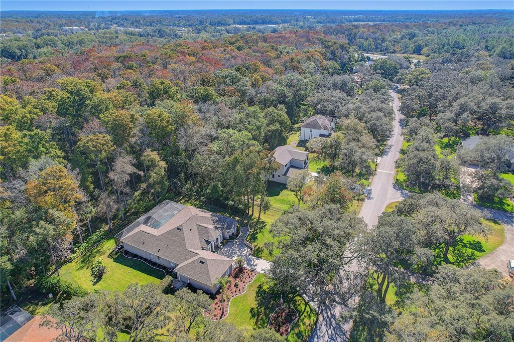 12054 Quail Ridge Drive Spring Hill, FL 34610 - Photo 52 of 69