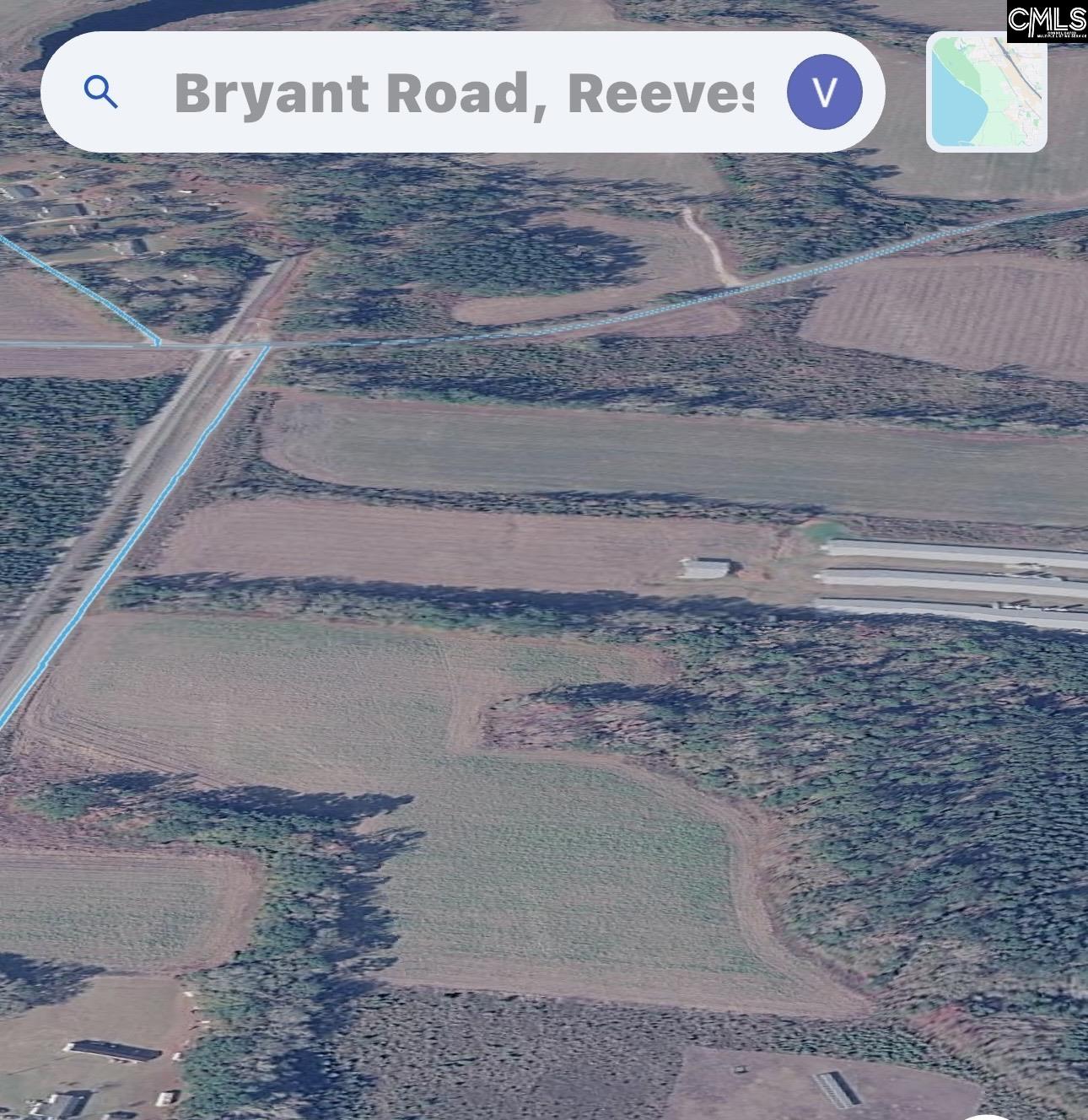 0 Bryant Road Reevesville, SC 29471 - Photo 2 of 7