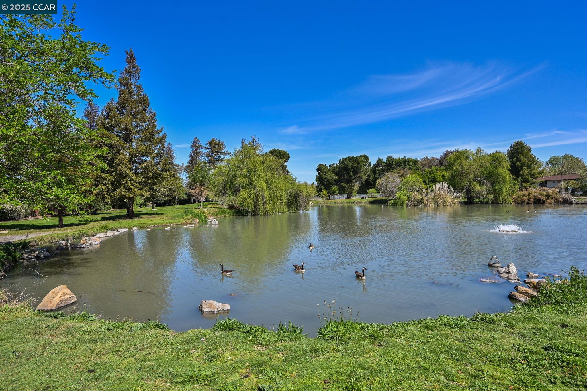 1954 North 6th Street Concord, CA 94519 - Photo 22 of 26