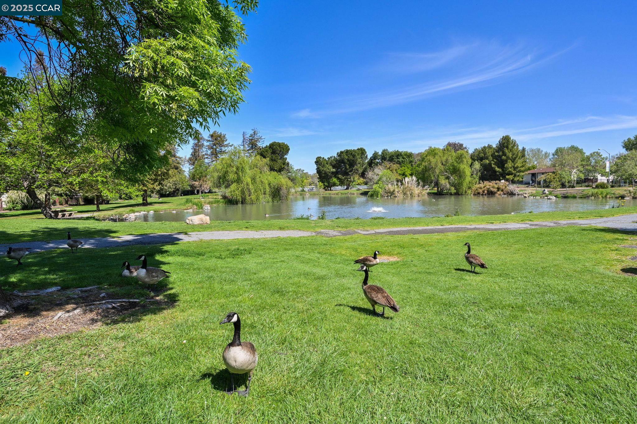1954 North 6th Street Concord, CA 94519 - Photo 26 of 26