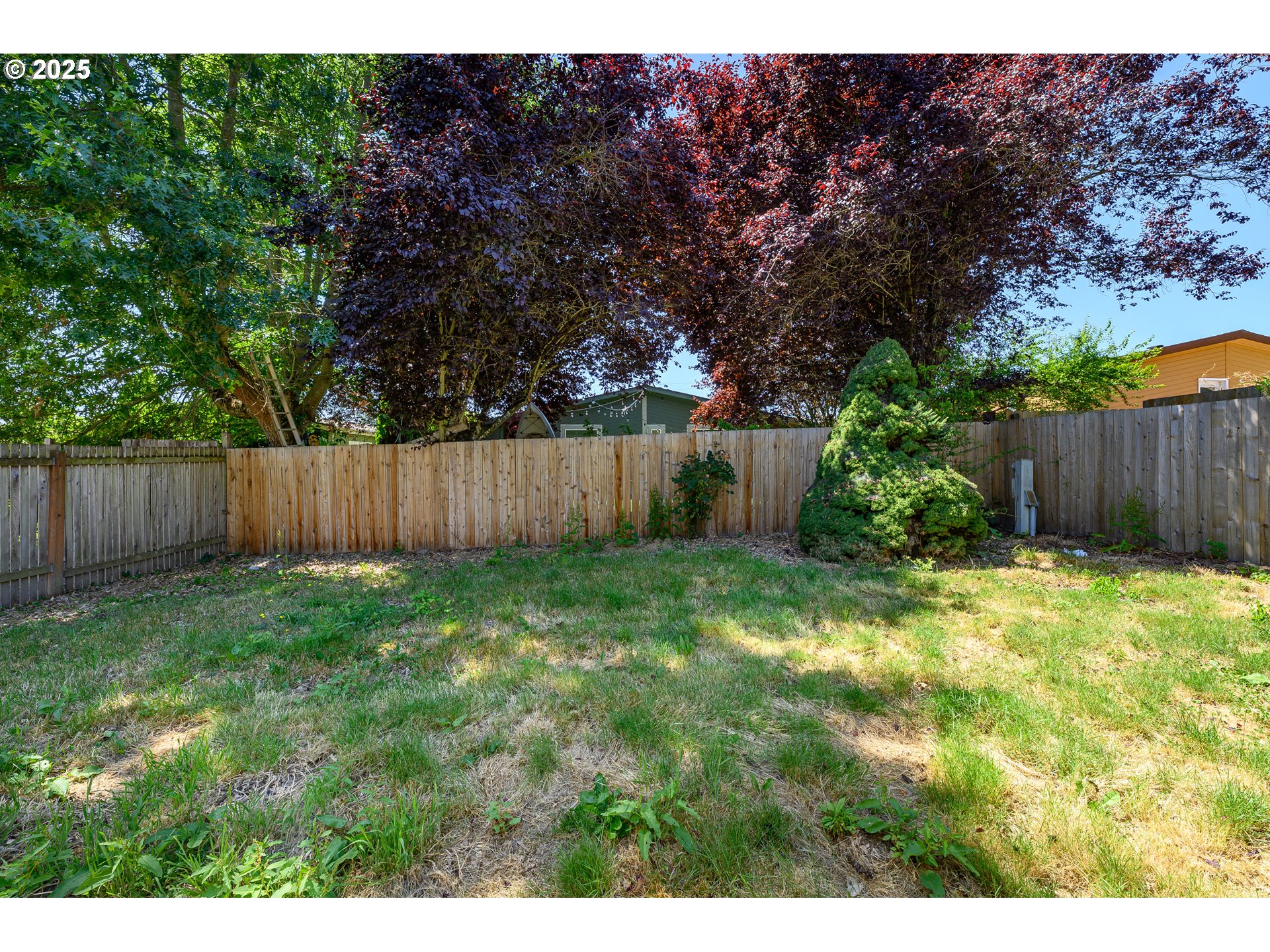 13620 Southwest Beef Bend Road, Unit 38 Portland, OR 97224 - Photo 26 of 38 a view of a backyard with large trees and wooden fence