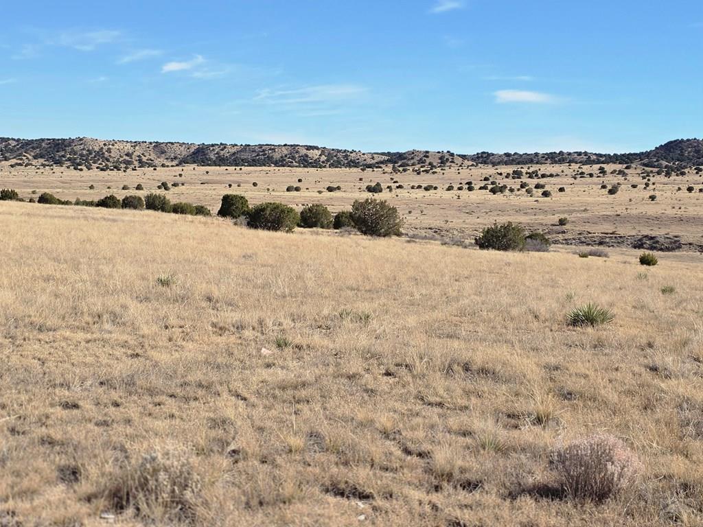 Tbd Lot 12 Tbd Road Pueblo, CO 81005 - Photo 5 of 7