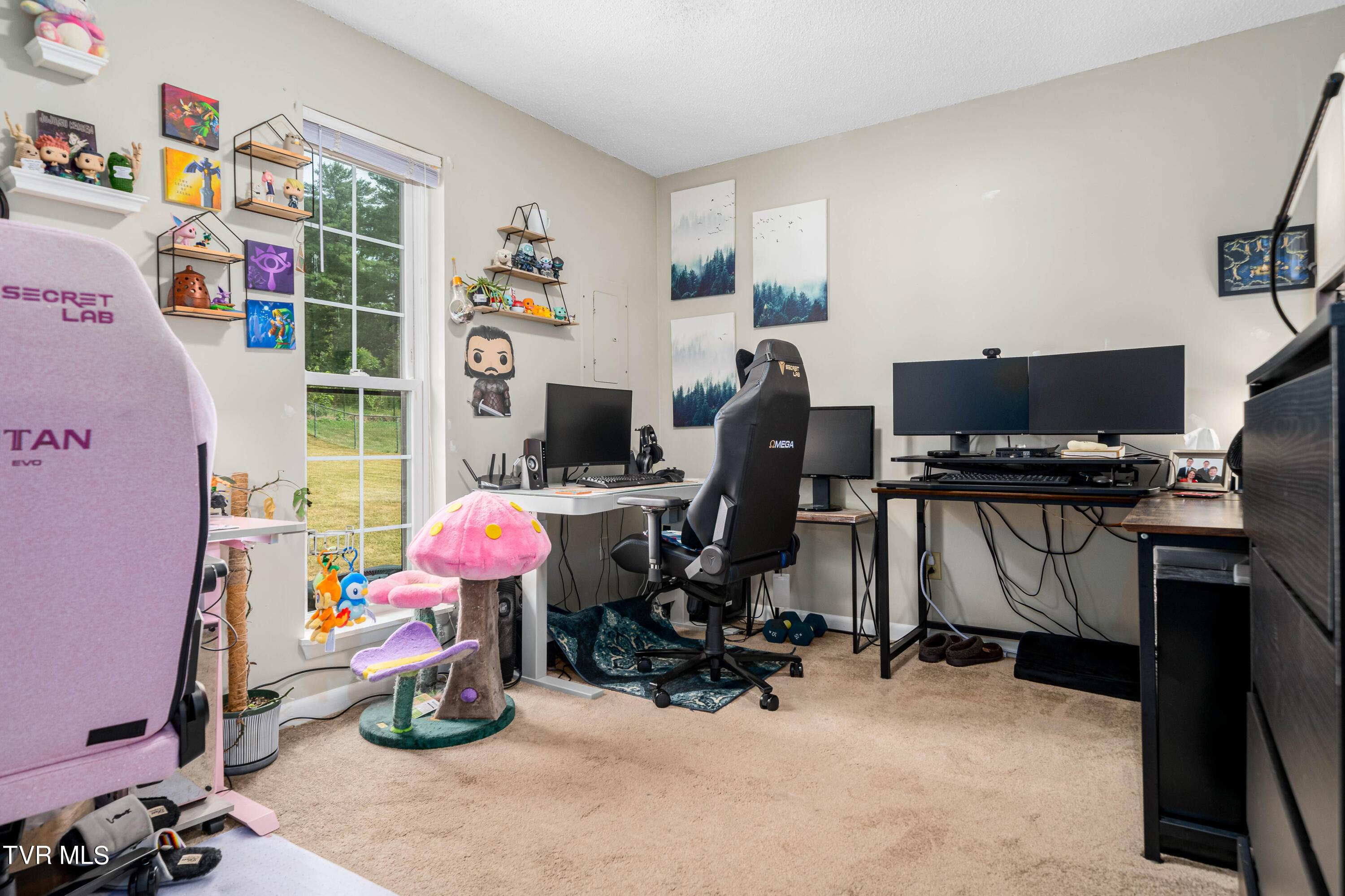 1734 Todd Drive Johnson City, TN 37604 - Photo 25 of 29 1734 Todd Drive (25 of 29)