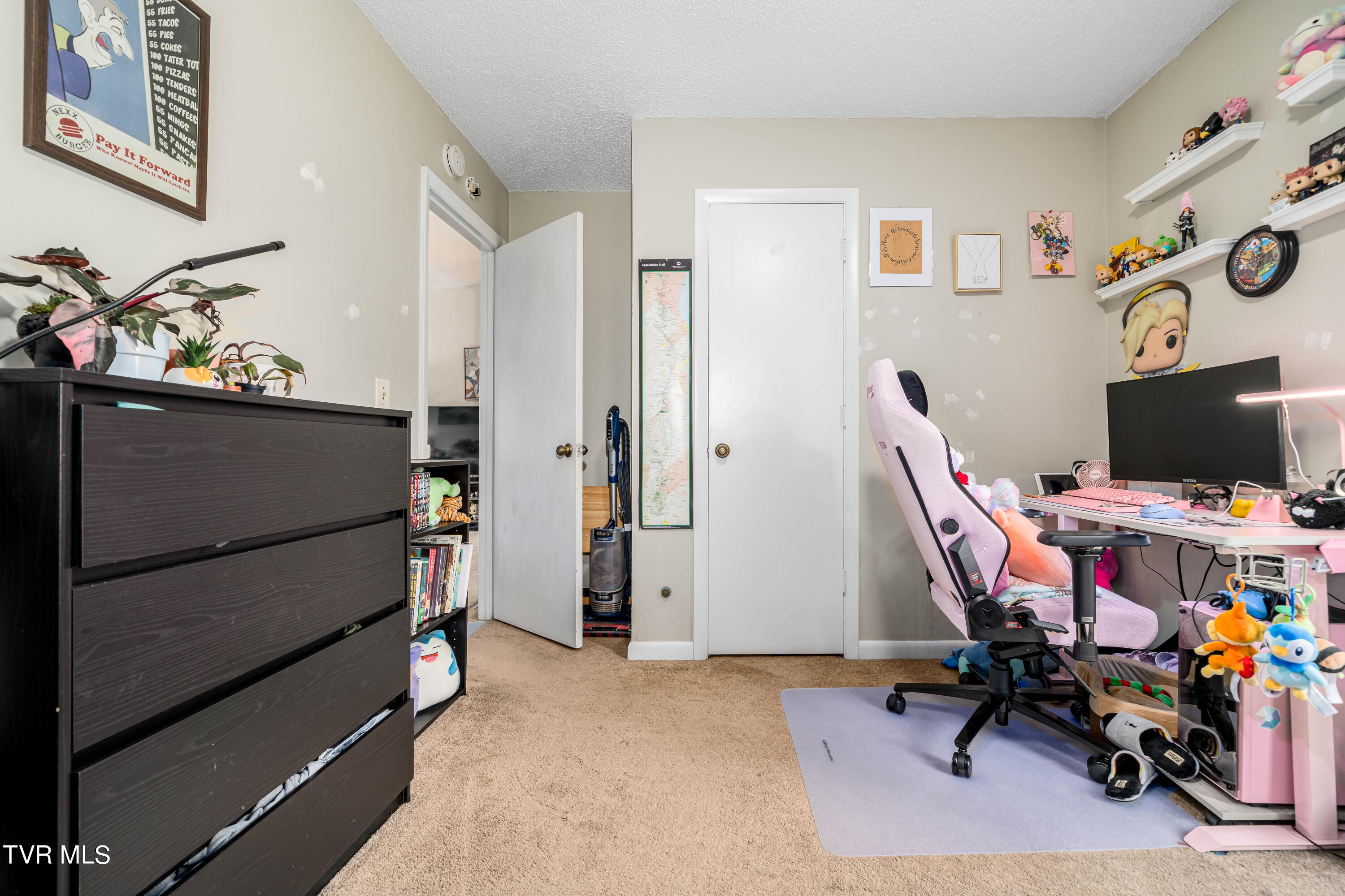 1734 Todd Drive Johnson City, TN 37604 - Photo 26 of 29 1734 Todd Drive (26 of 29)