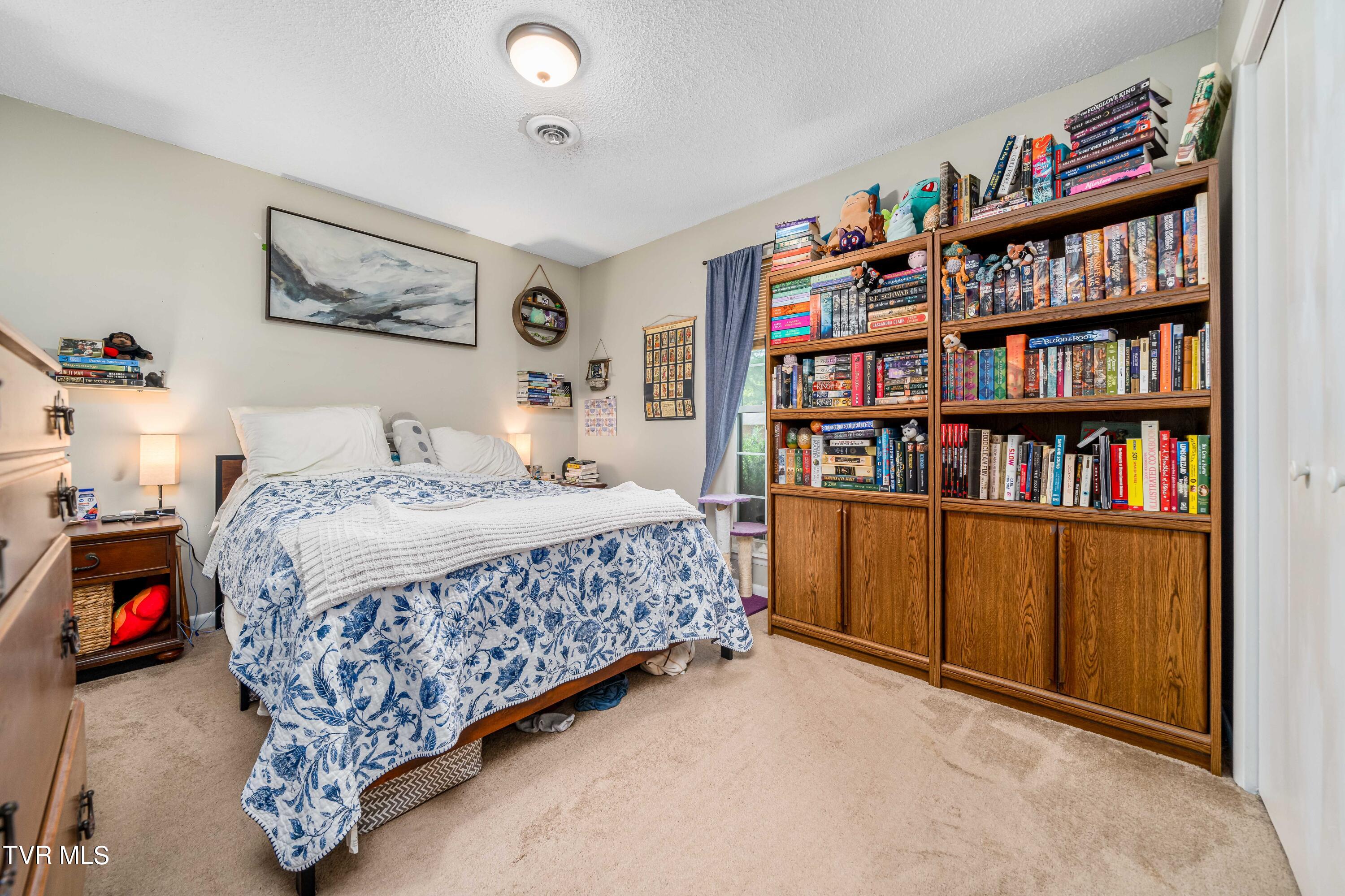 1734 Todd Drive Johnson City, TN 37604 - Photo 28 of 29 1734 Todd Drive (28 of 29)