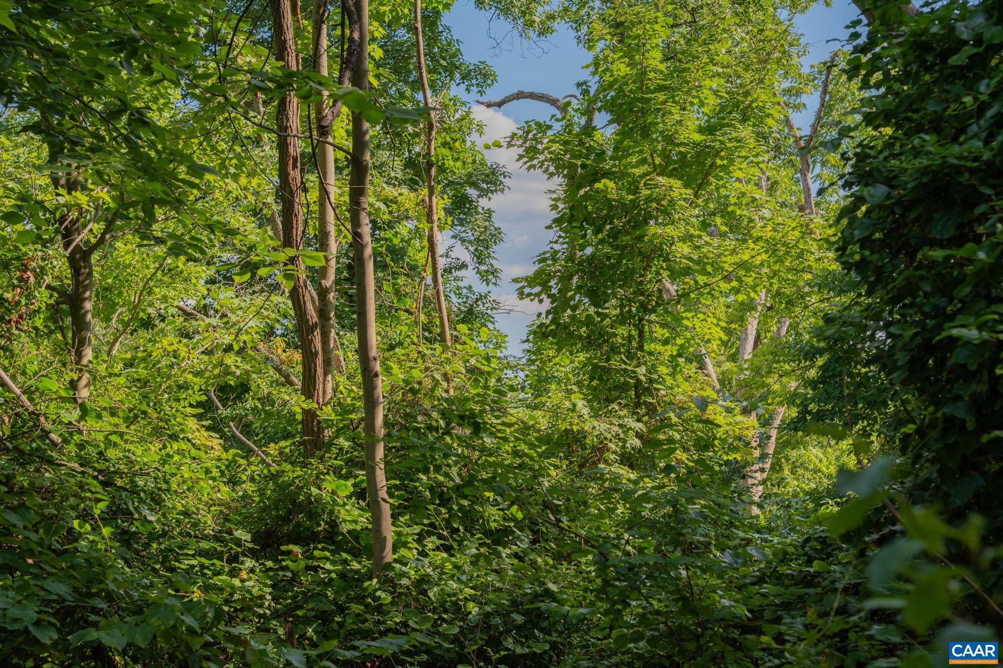 Tbd North Frog Hollow Road Winchester, VA 22603 - Photo 43 of 49 Gallery Image 43