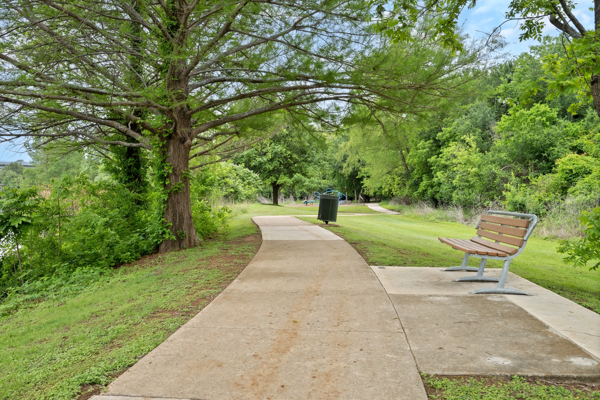 372 Adams Street Georgetown, TX 78628 - Photo 33 of 33 a view of green field with trees