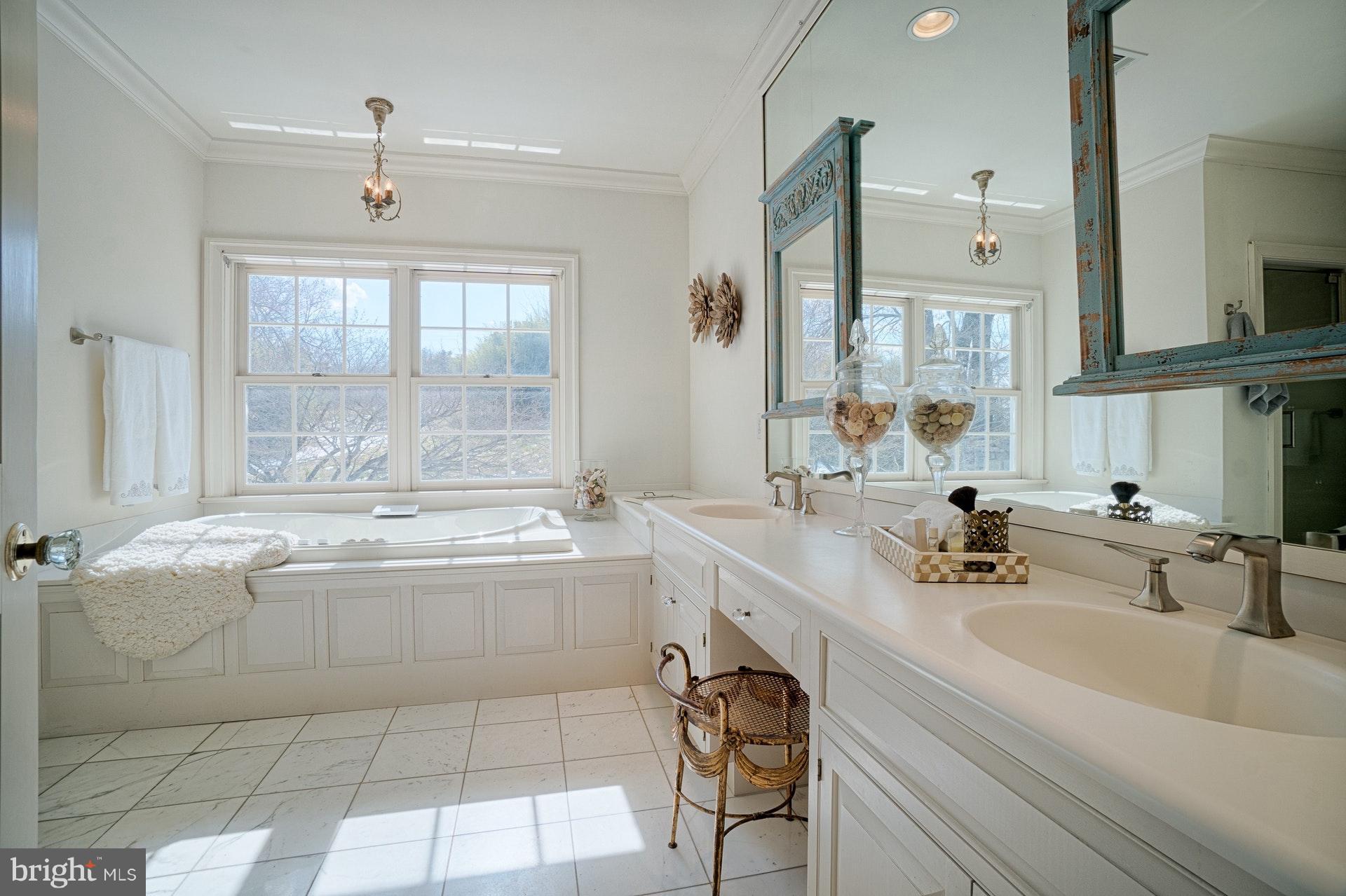 40081 Thomas Mill Road Leesburg, VA 20175 - Photo 20 of 30 Bath (Master)
