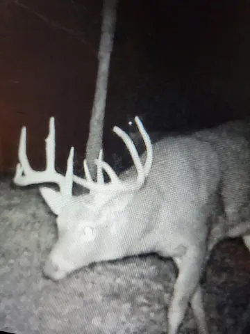 $425,000 | 21286 345th Street, Erhard, MN 56534