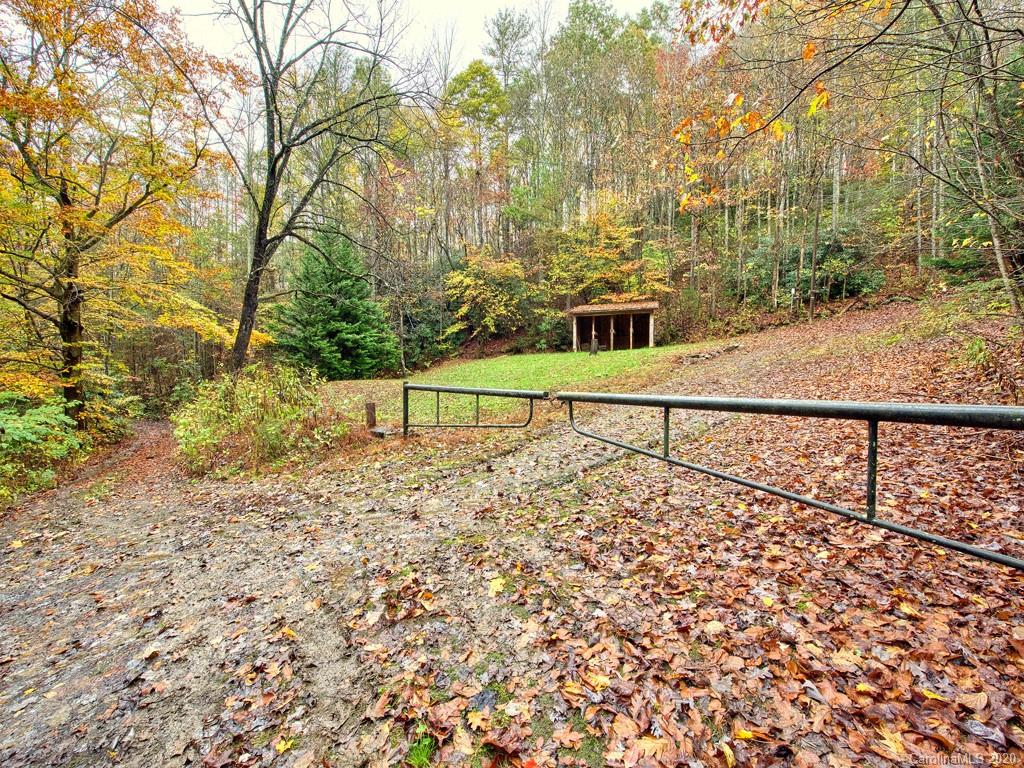 784 Flat Branch Road Waynesville, NC 28785 - Photo 21 of 25 a view of backyard with trees