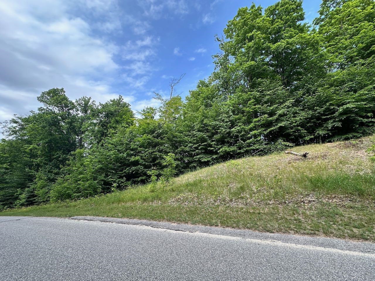170 Raptor Run, Unit LOT: 170 Bellaire, MI 49615 - Photo 10 of 29