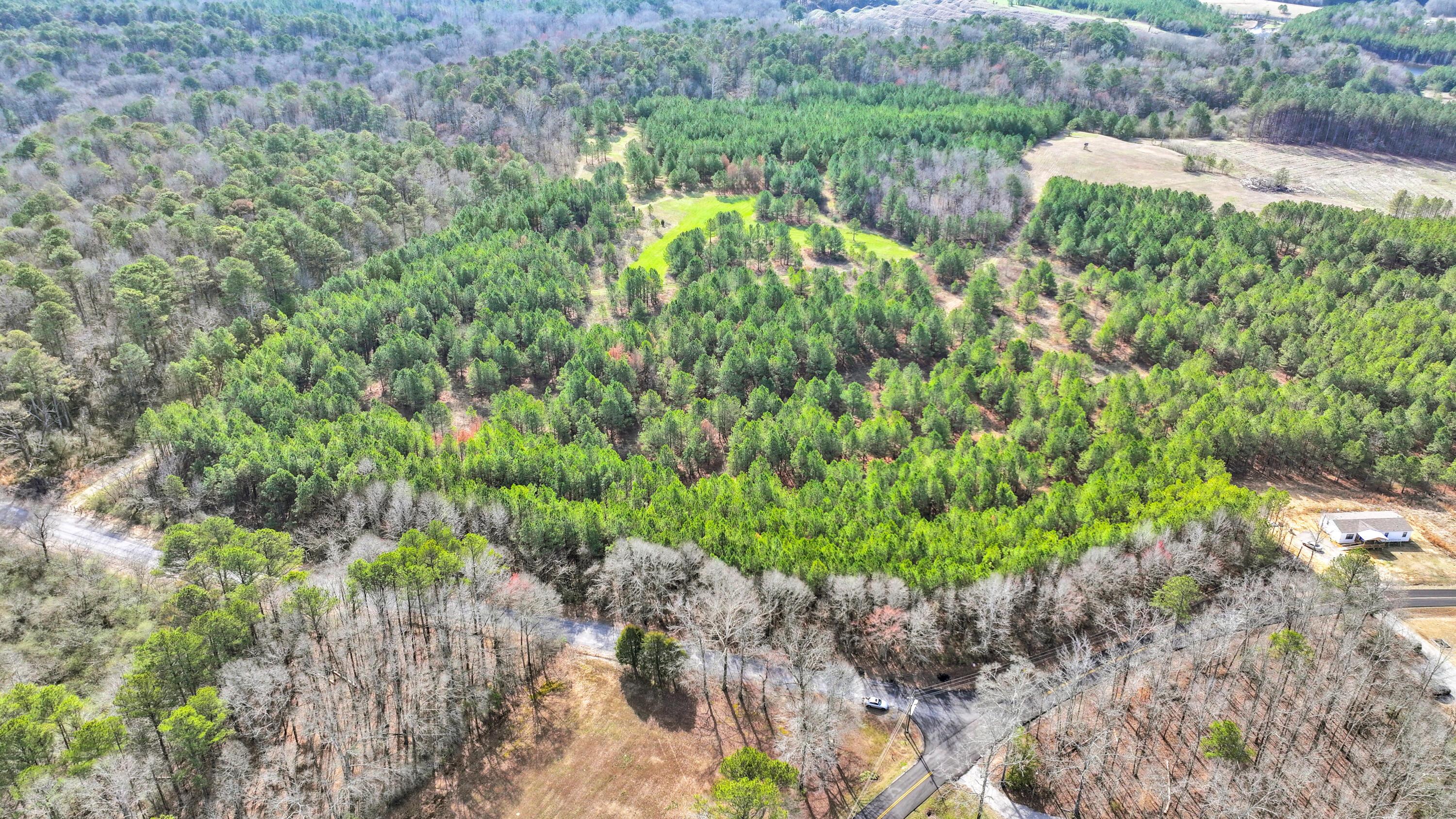 Lot 2 Duncan Road Nauvoo, AL 35578 - Photo 22 of 28 Gallery Image 22