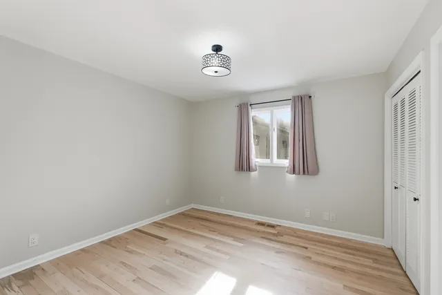 a view of a yard in front of a house with a large tree