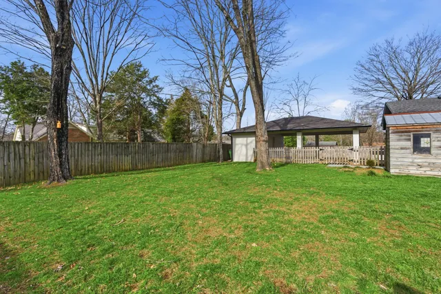 a view of a park with large trees