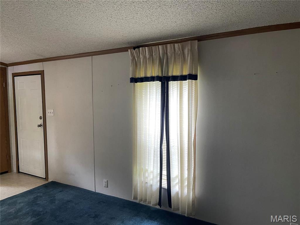 307 Sandbach Worden, IL 62097 - Photo 9 of 19