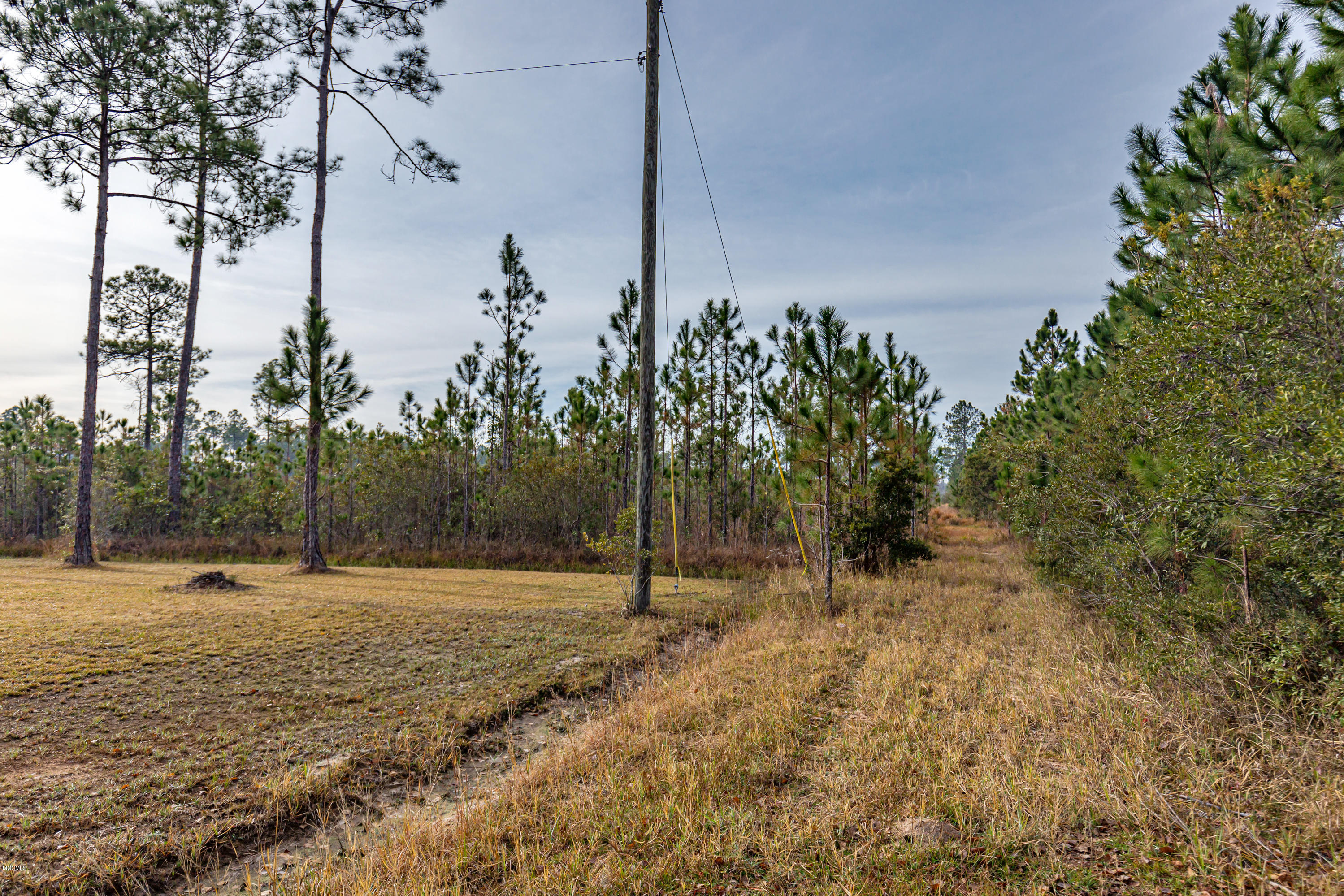 9821 Bragg Road Moss Point, MS 39562 - Photo 43 of 48 IMG_7556