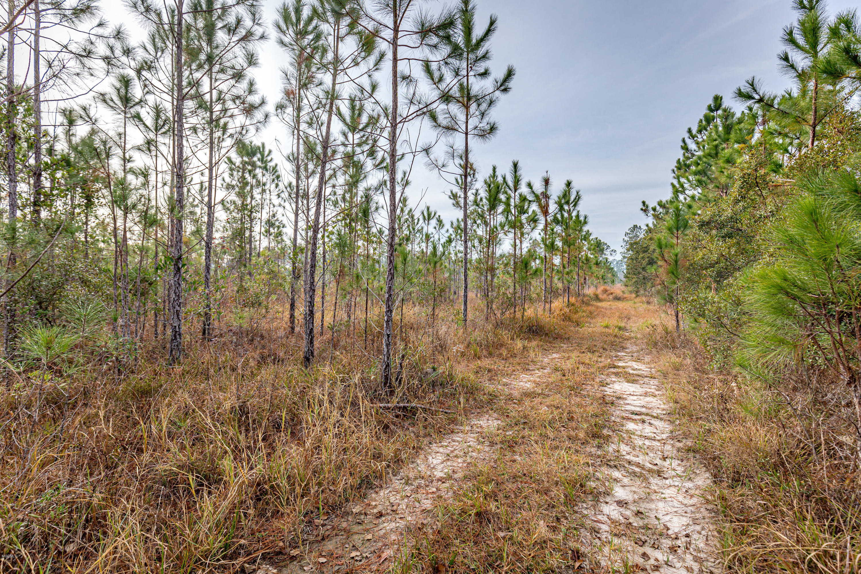 9821 Bragg Road Moss Point, MS 39562 - Photo 45 of 48 IMG_7567