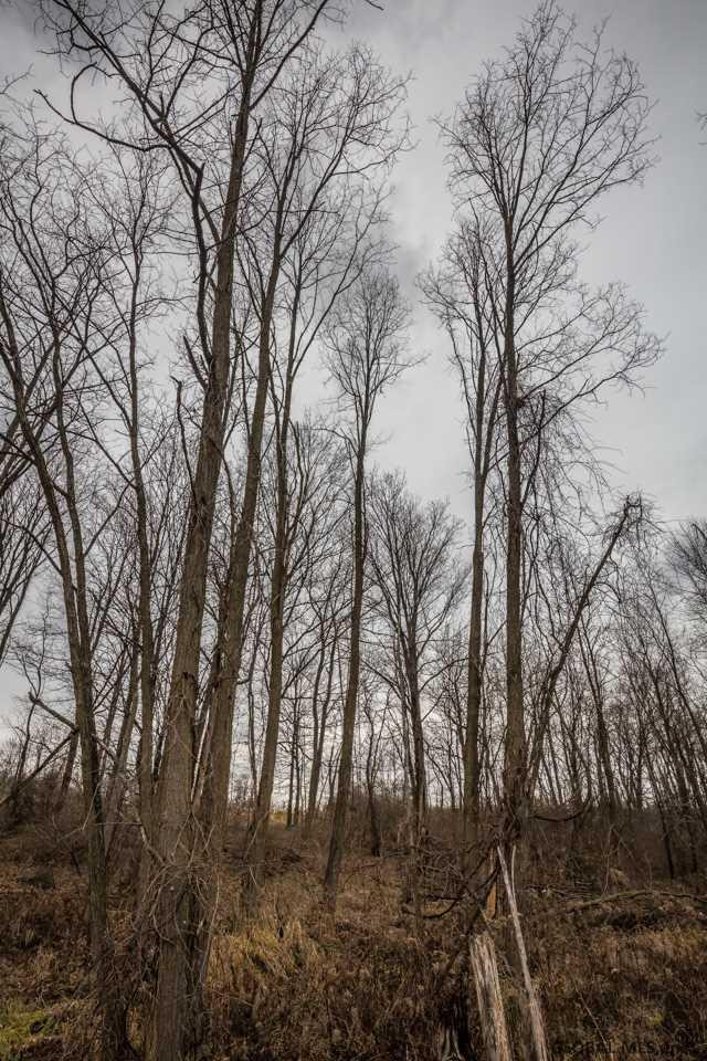 0 McQuade Road Amsterdam, NY 12010 - Photo 12 of 15 Photo 12