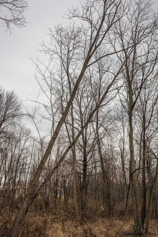 0 McQuade Road Amsterdam, NY 12010 - Photo 13 of 15 Photo 13