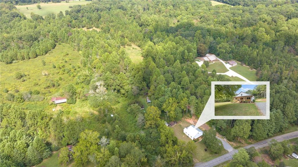 385 Amy's Road Clarkesville, GA 30523 - Photo 53 of 57