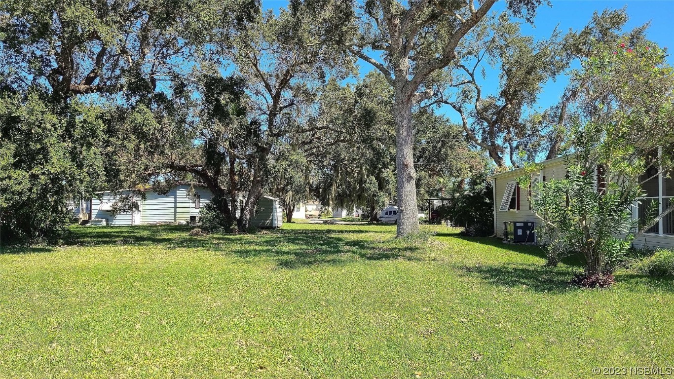 a view of a backyard with large trees
