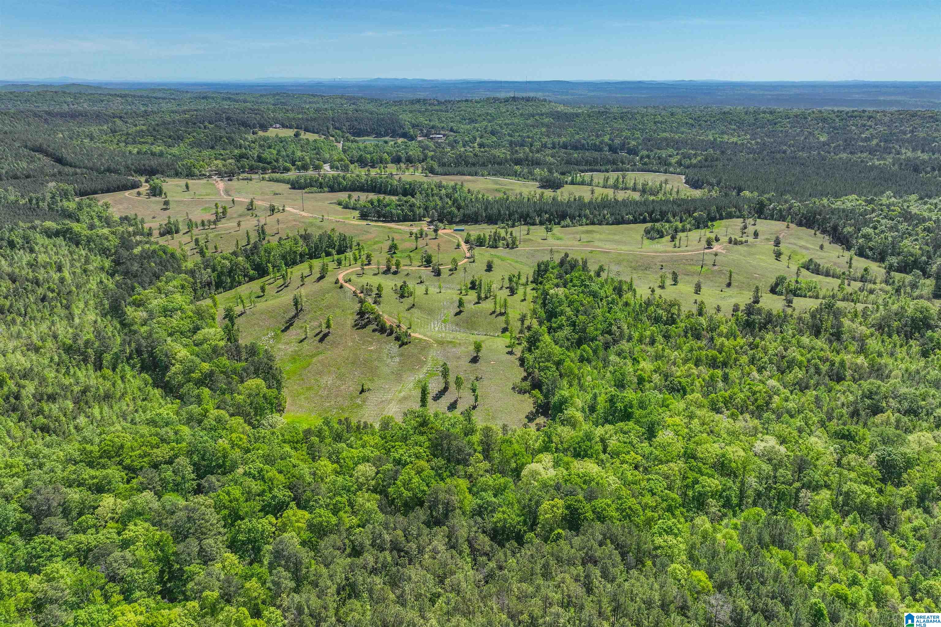 489 4 Wing Lake Road Alabaster, AL 35007 - Photo 6 of 27
