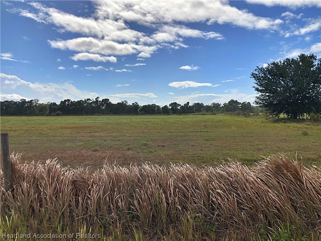 0 Dallas McClellan Road Zolfo Springs, FL 33890 - Photo 3 of 5 Gallery Image 3
