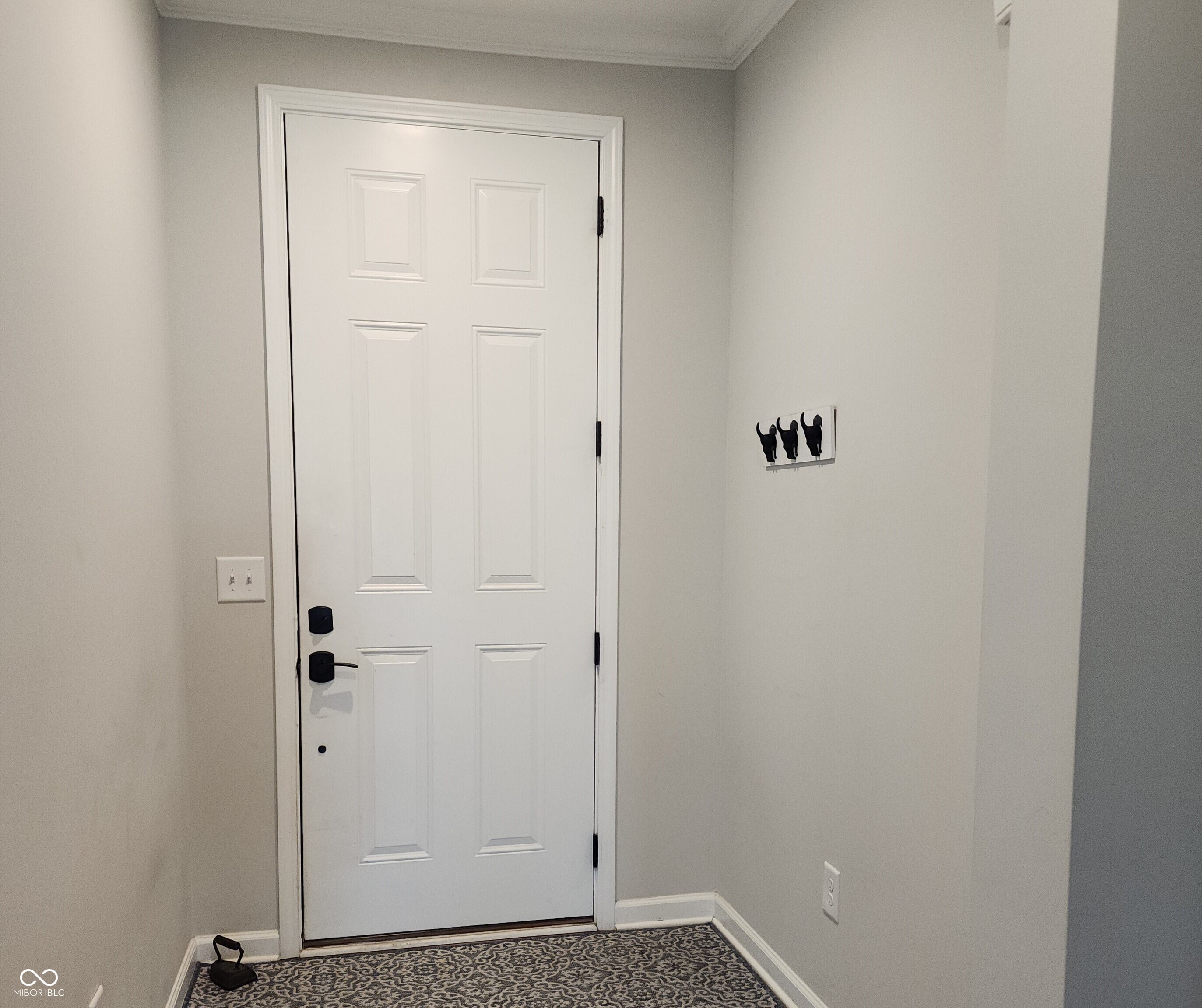 4752 Petunia Drive Plainfield, IN 46168 - Photo 4 of 56