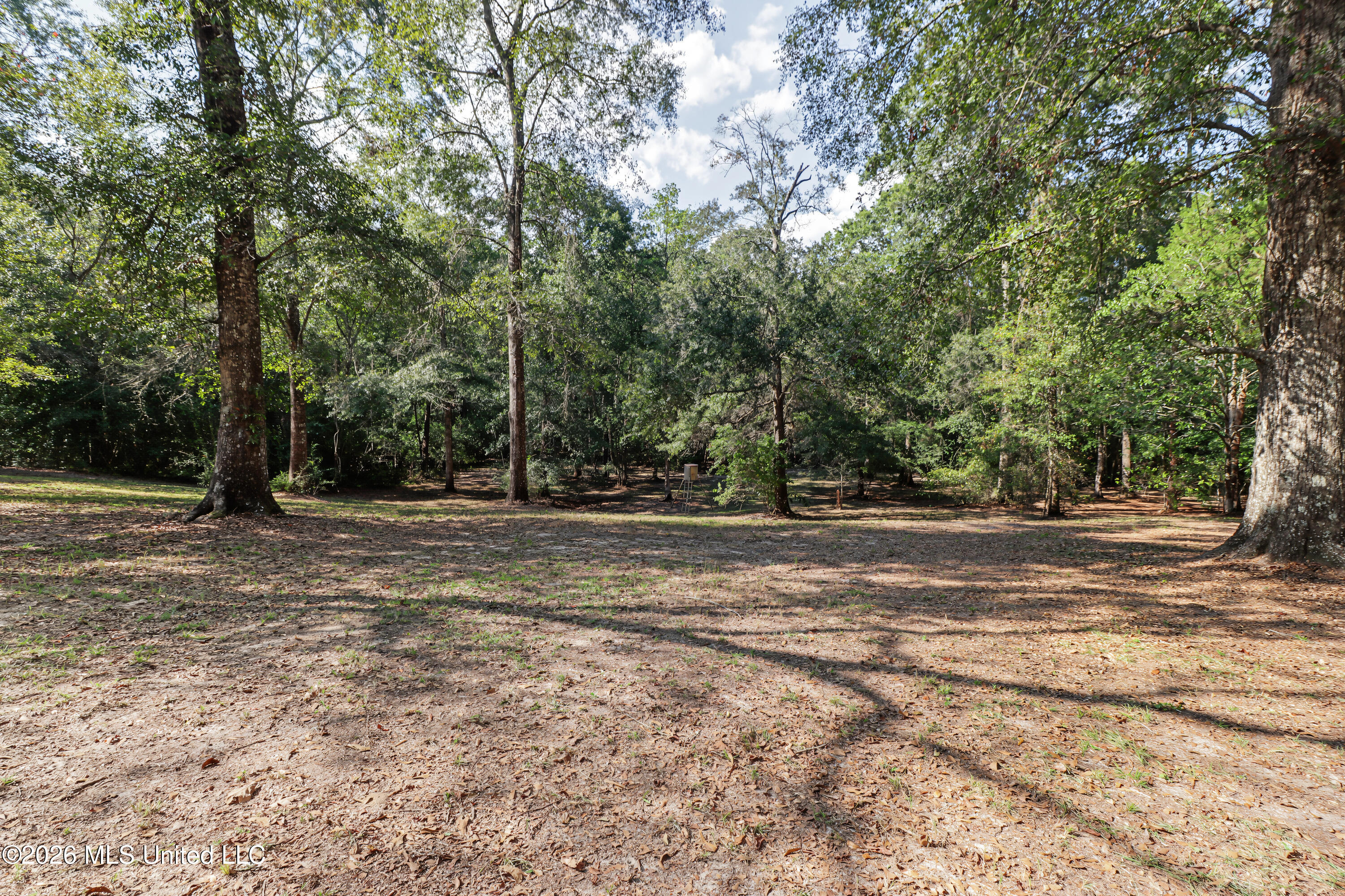 41 Ollie Reeves Road Perkinston, MS 39573 - Photo 4 of 14 IMG_8944