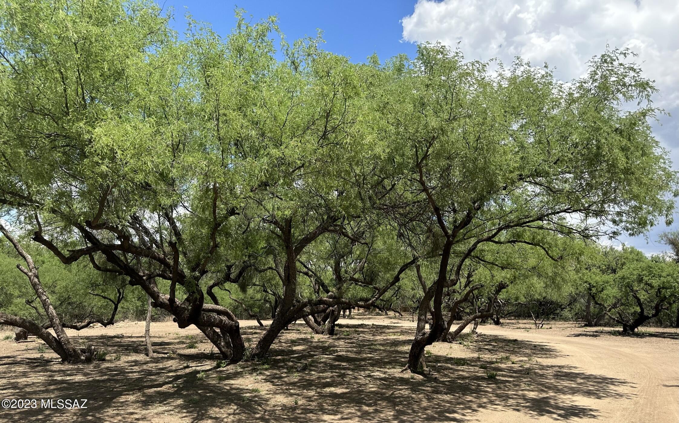129 Bridge Road Tubac, AZ 85646 - Photo 39 of 39