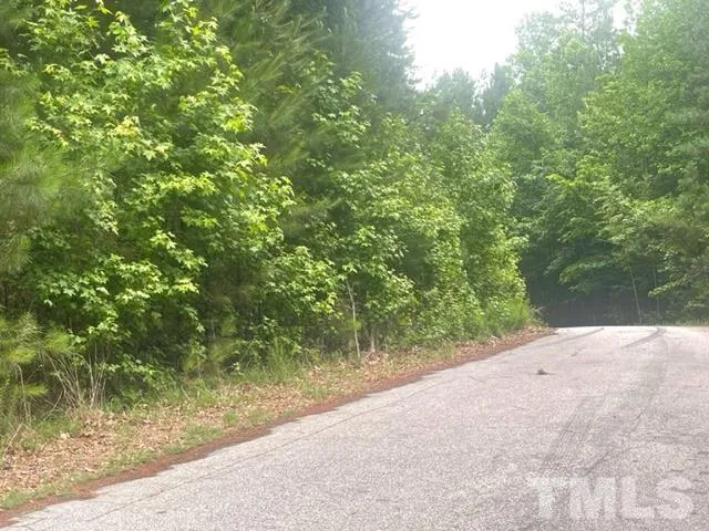 a view of a yard with plants and tree