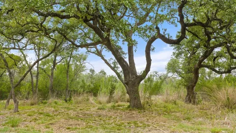 $1,500,000 | 1850 Pursley Road, Dripping Springs, TX 78620