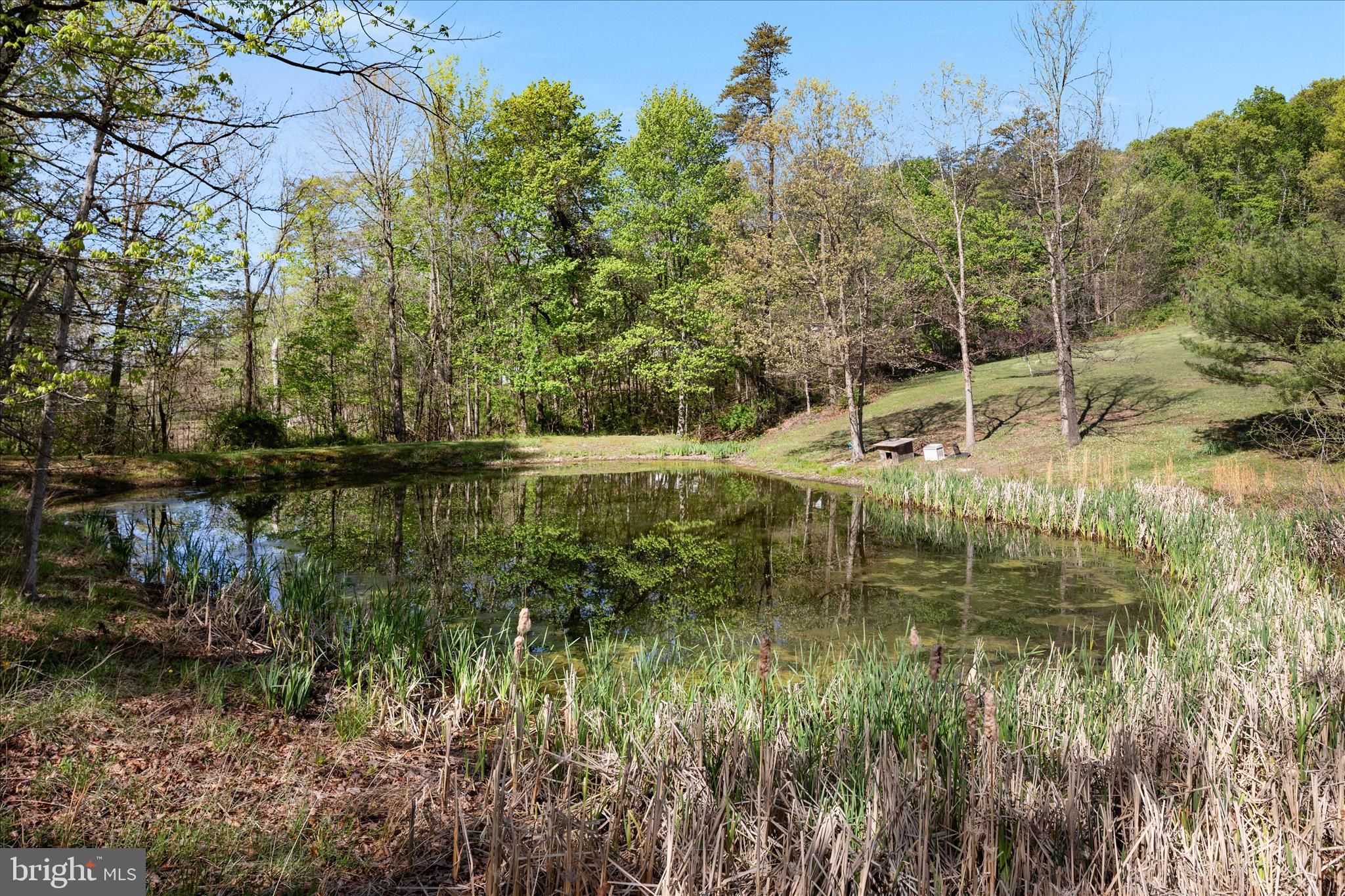 775 Pack Horse Road Winchester, VA 22603 - Photo 11 of 28 a view of lake