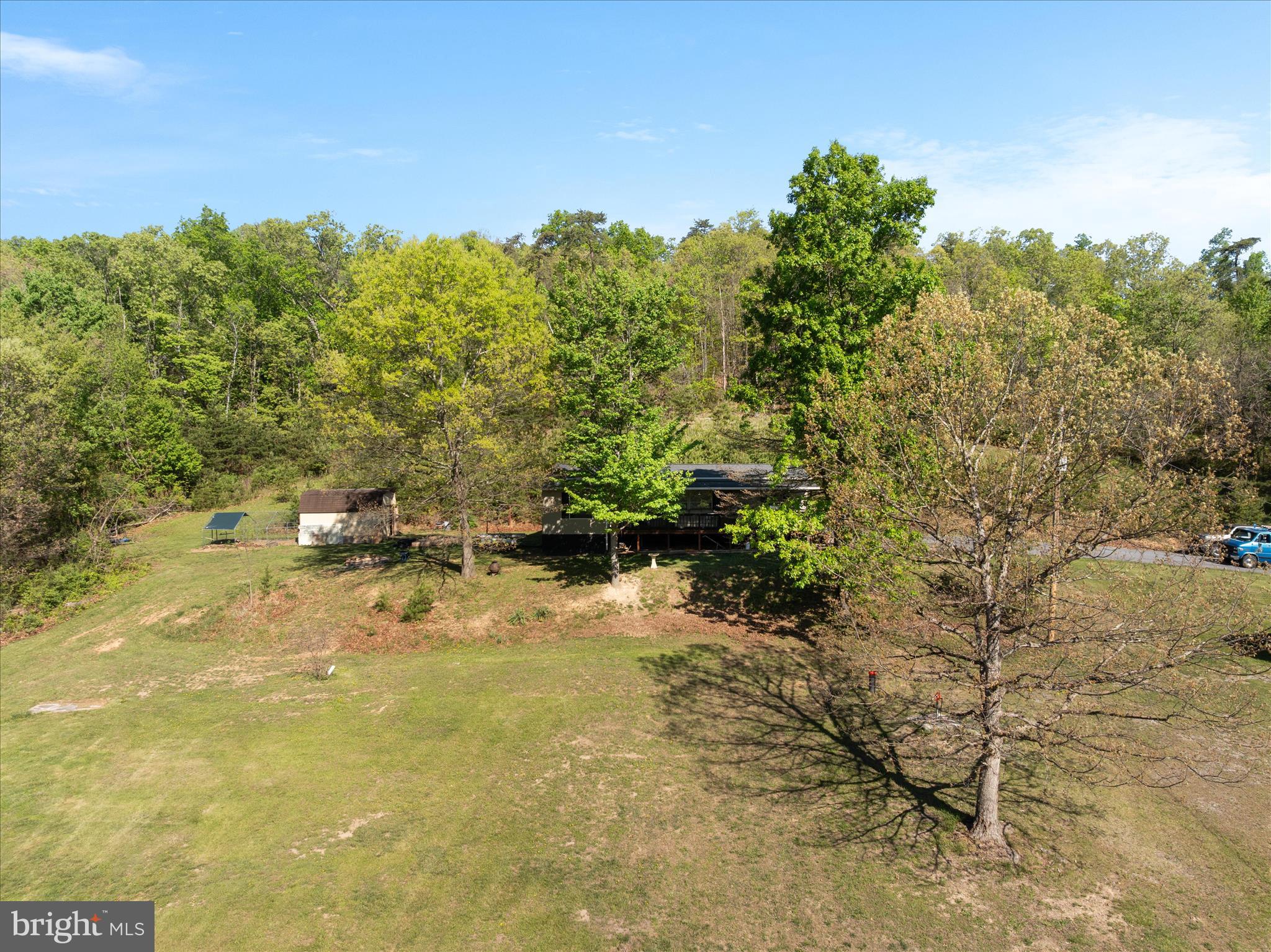 775 Pack Horse Road Winchester, VA 22603 - Photo 22 of 28 a view of a yard with a tree
