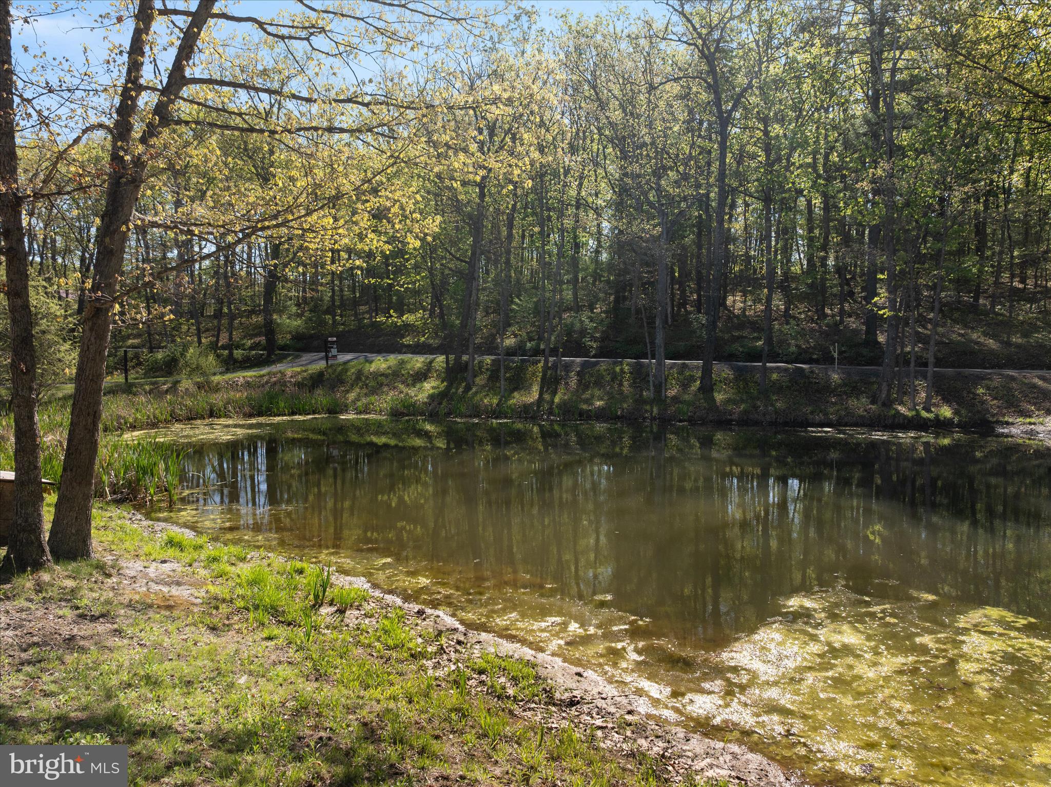775 Pack Horse Road Winchester, VA 22603 - Photo 23 of 28