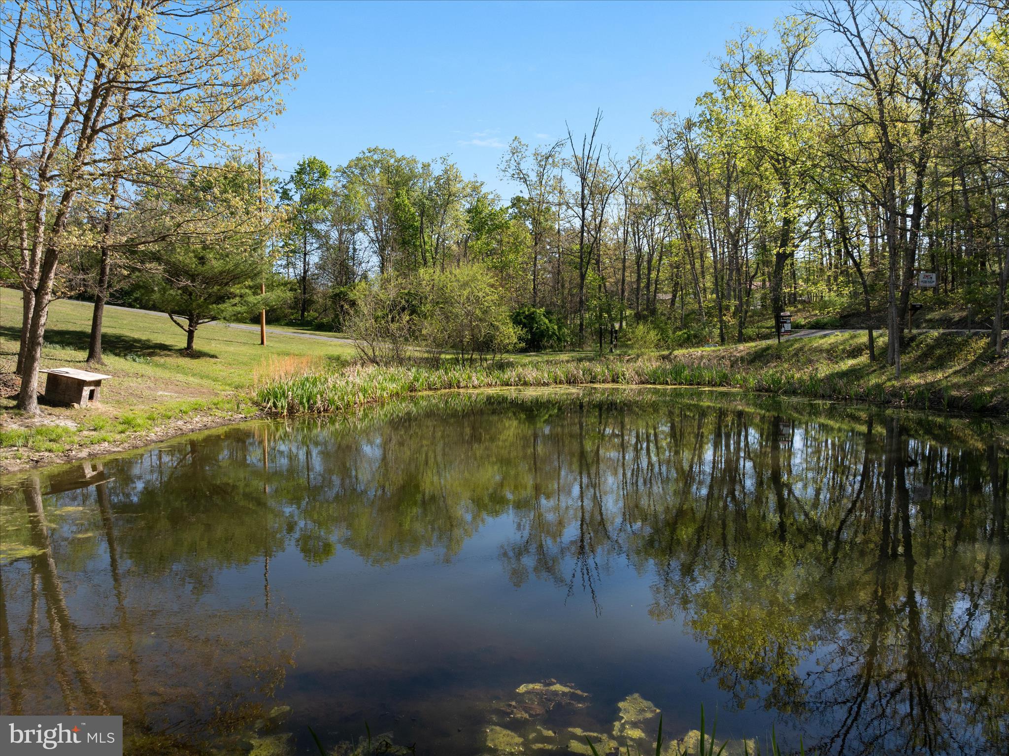 775 Pack Horse Road Winchester, VA 22603 - Photo 24 of 28 a view of lake